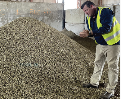 Man looking at a grain pile 